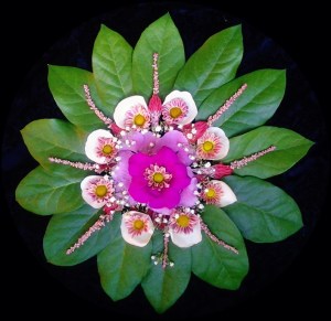 upgraded flower mandala 1